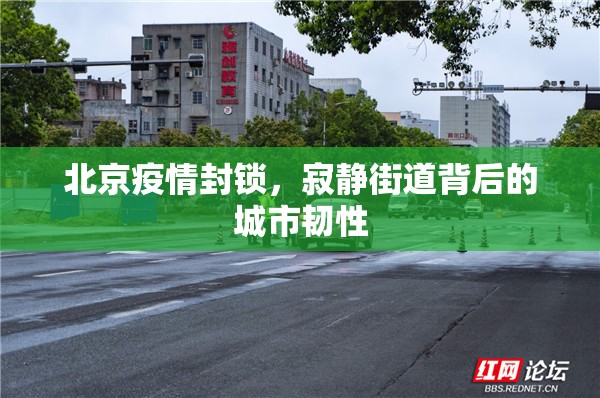 北京疫情封锁，寂静街道背后的城市韧性