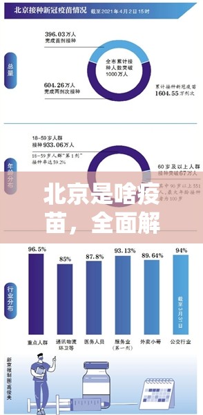 北京是啥疫苗，全面解析首都的疫苗接种策略与现状