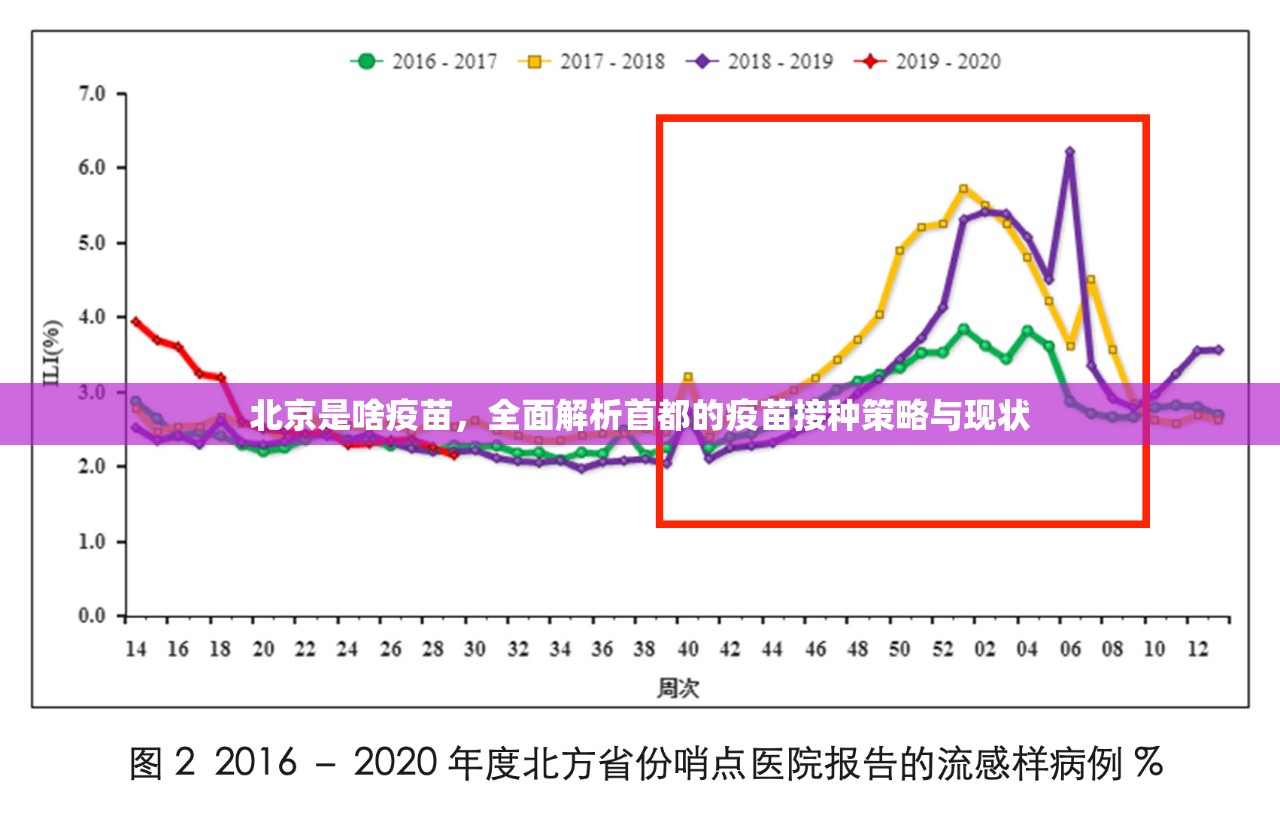 北京是啥疫苗，全面解析首都的疫苗接种策略与现状