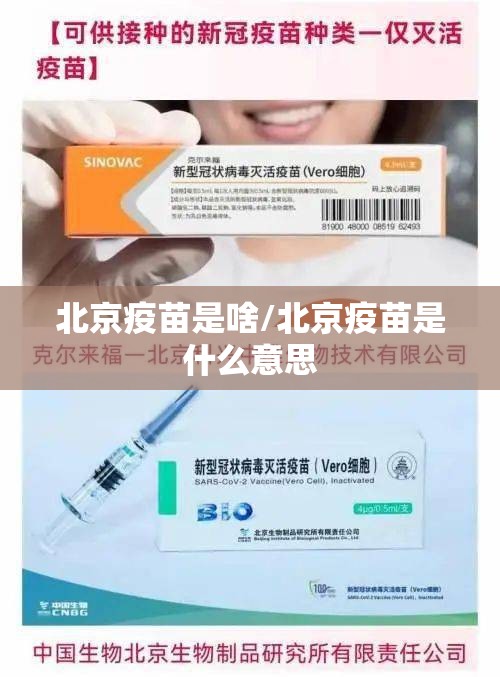 北京疫苗是啥/北京疫苗是什么意思
