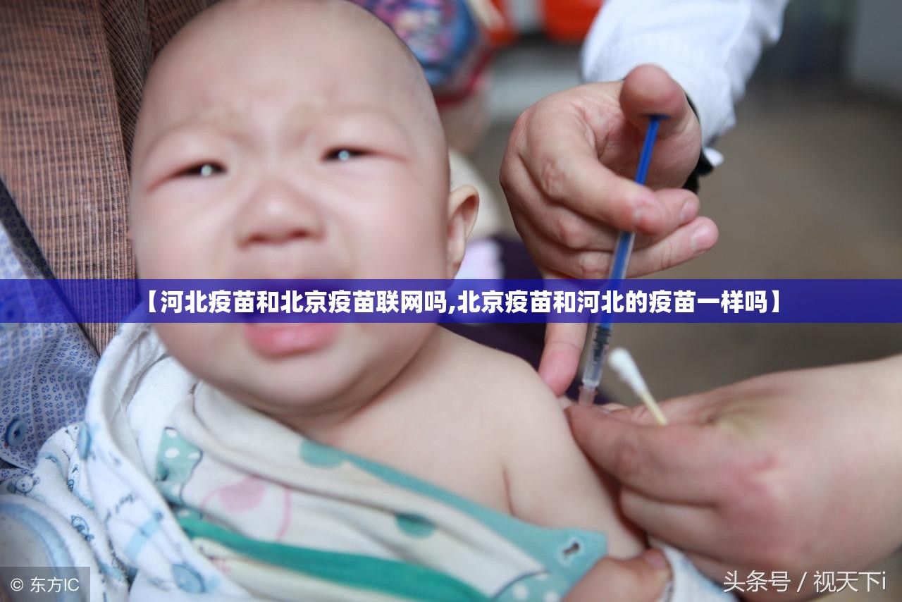 【河北疫苗和北京疫苗联网吗,北京疫苗和河北的疫苗一样吗】