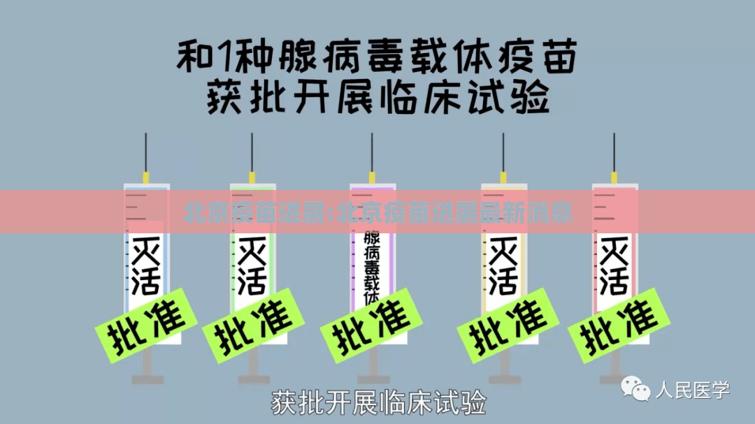北京疫苗进展:北京疫苗进展最新消息