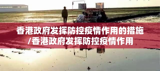 香港政府发挥防控疫情作用的措施/香港政府发挥防控疫情作用