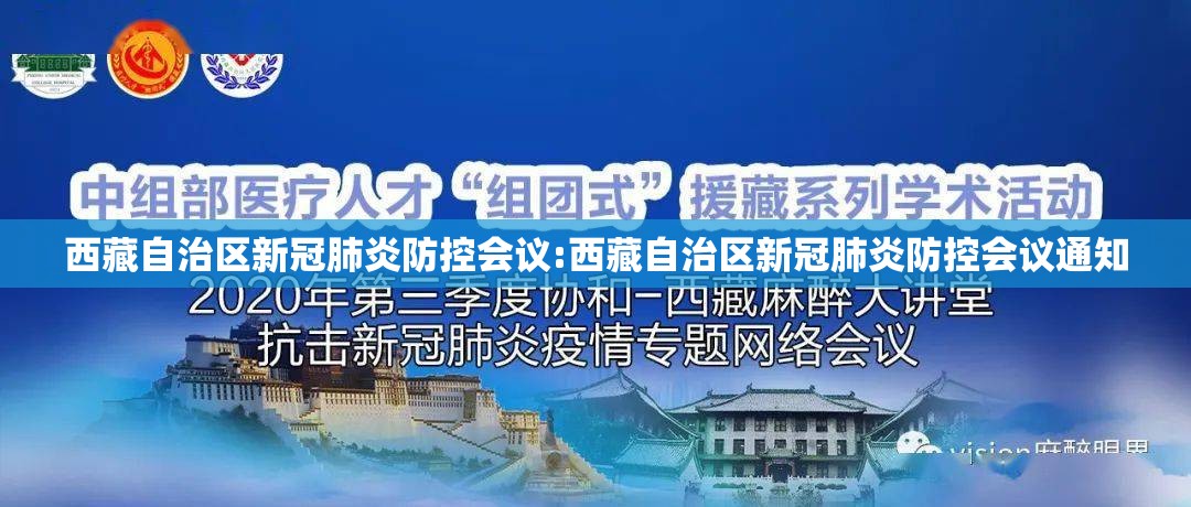 西藏自治区新冠肺炎防控会议:西藏自治区新冠肺炎防控会议通知