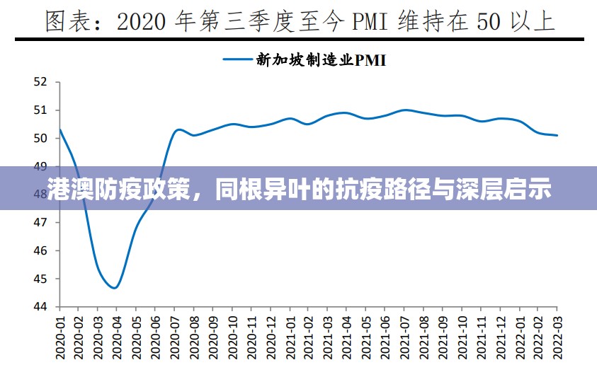港澳防疫政策，同根异叶的抗疫路径与深层启示