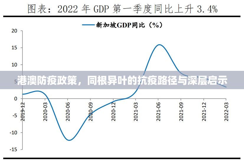 港澳防疫政策，同根异叶的抗疫路径与深层启示