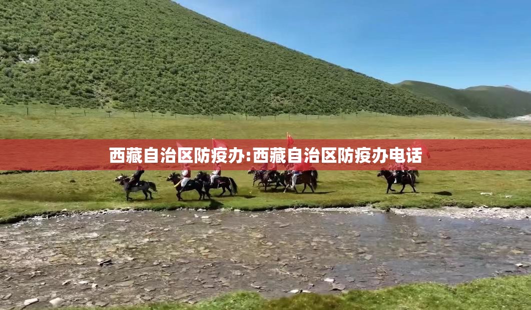西藏自治区防疫办:西藏自治区防疫办电话