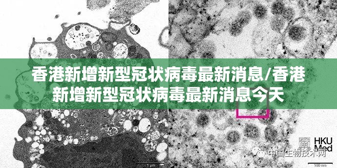 香港新增新型冠状病毒最新消息/香港新增新型冠状病毒最新消息今天