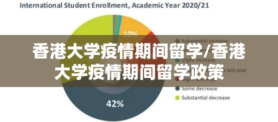 香港大学疫情期间留学/香港大学疫情期间留学政策