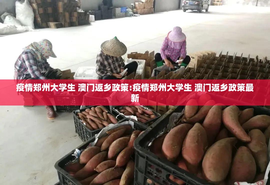 疫情郑州大学生 澳门返乡政策:疫情郑州大学生 澳门返乡政策最新