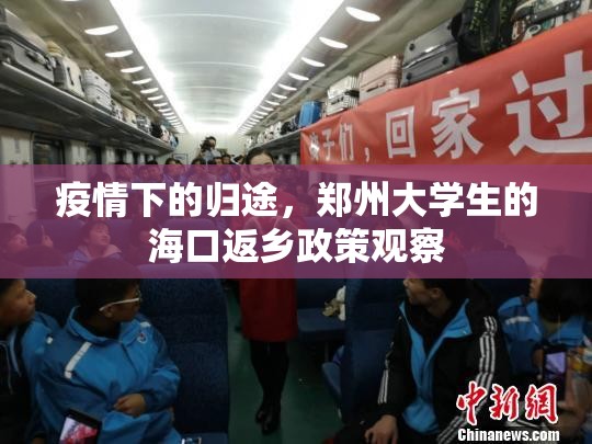 疫情下的归途，郑州大学生的海口返乡政策观察