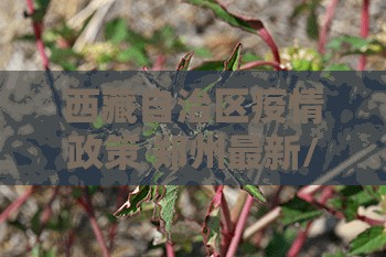 西藏自治区疫情政策 郑州最新/西藏自治区疫情政策 郑州最新消息