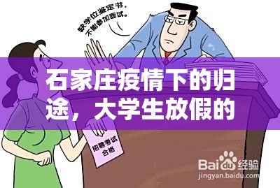 石家庄疫情下的归途，大学生放假的挑战与思考
