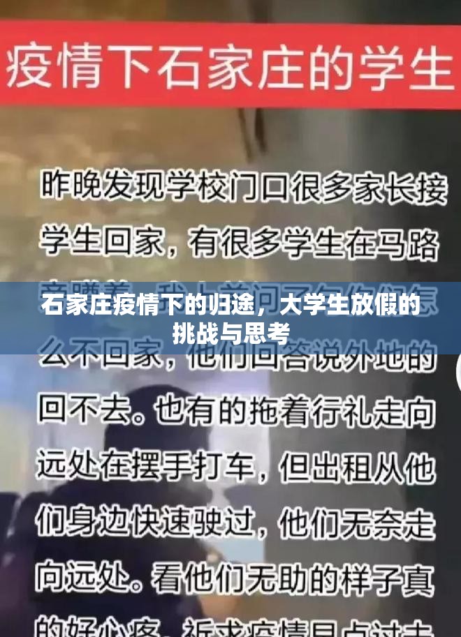 石家庄疫情下的归途，大学生放假的挑战与思考