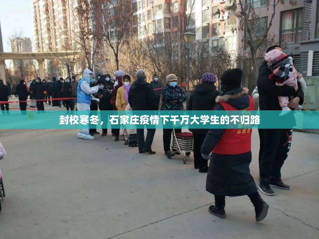 封校寒冬，石家庄疫情下千万大学生的不归路