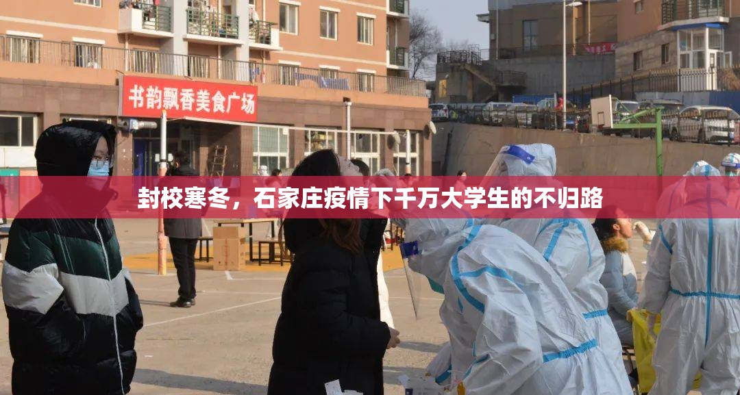 封校寒冬，石家庄疫情下千万大学生的不归路