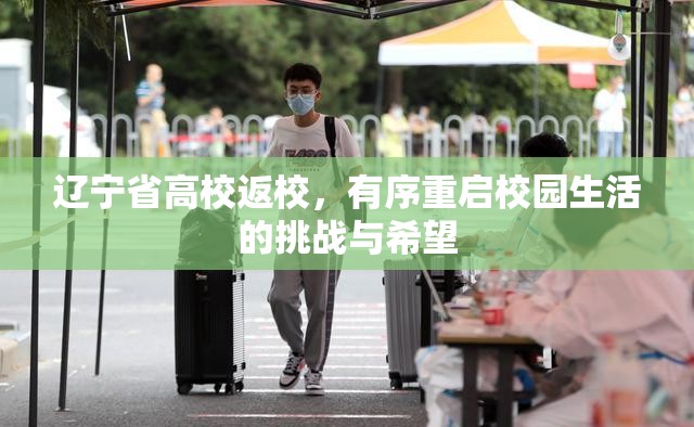 辽宁省高校返校，有序重启校园生活的挑战与希望