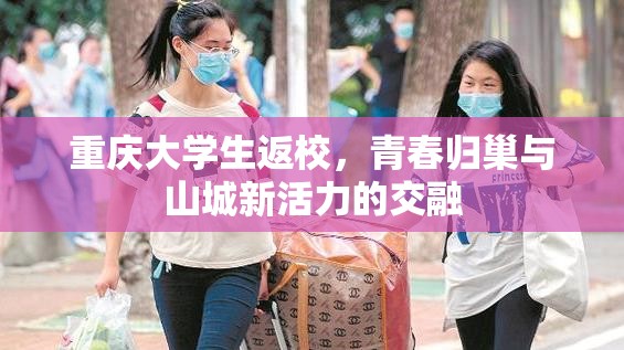 重庆大学生返校，青春归巢与山城新活力的交融