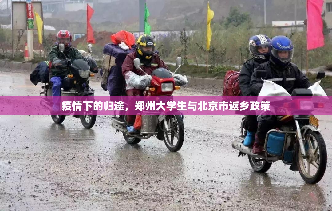 疫情下的归途，郑州大学生与北京市返乡政策