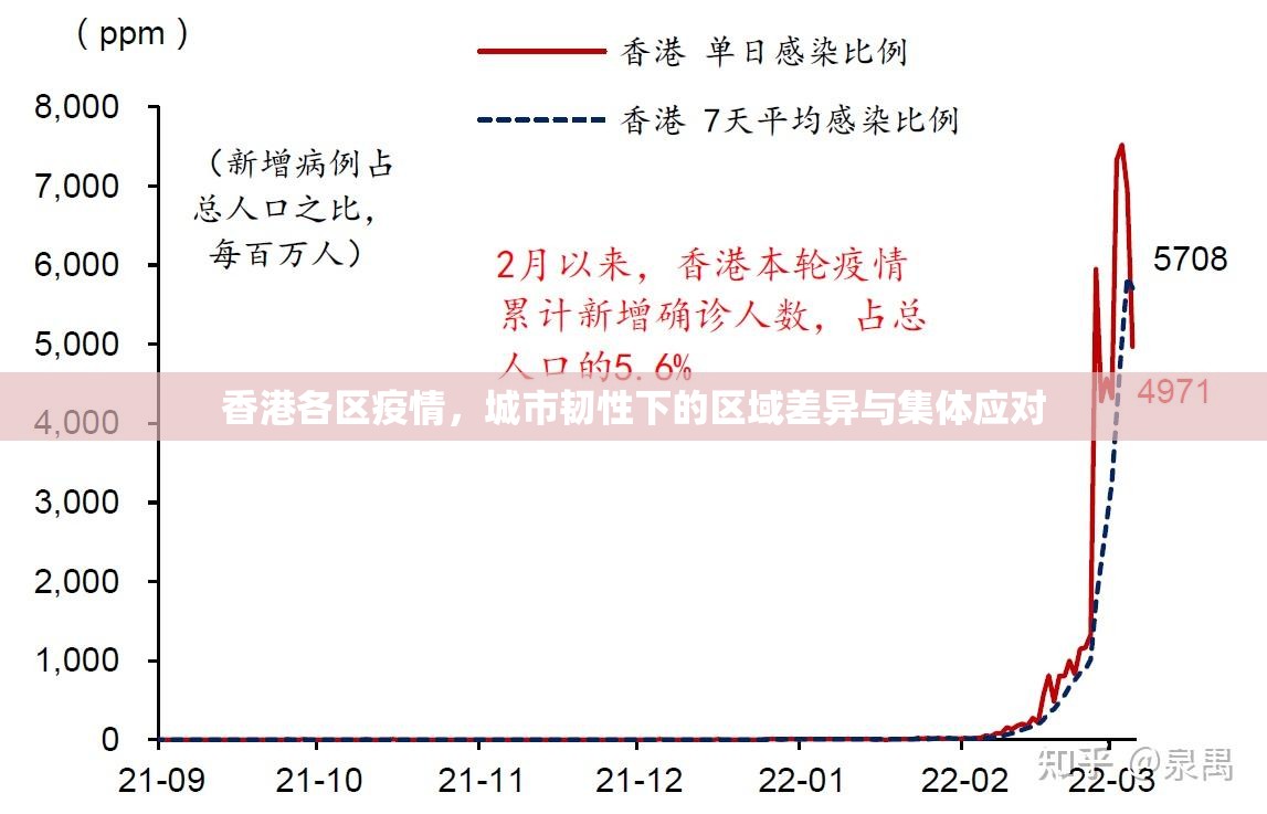 香港各区疫情，城市韧性下的区域差异与集体应对