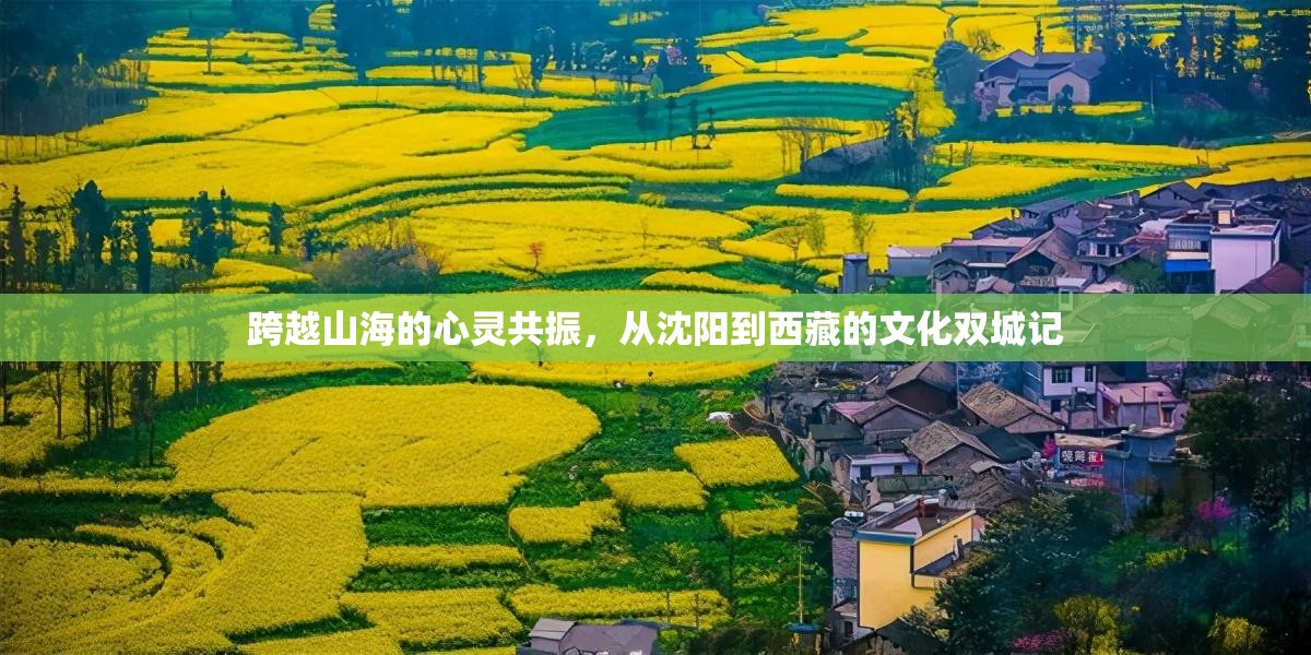 跨越山海的心灵共振，从沈阳到西藏的文化双城记
