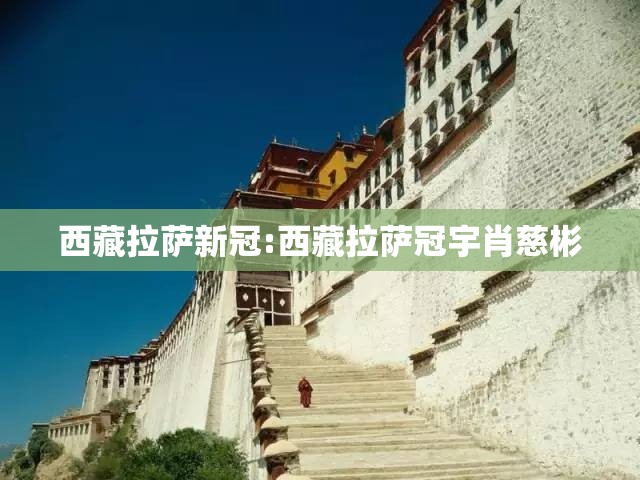 西藏拉萨新冠:西藏拉萨冠宇肖慈彬