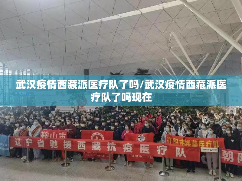武汉疫情西藏派医疗队了吗/武汉疫情西藏派医疗队了吗现在