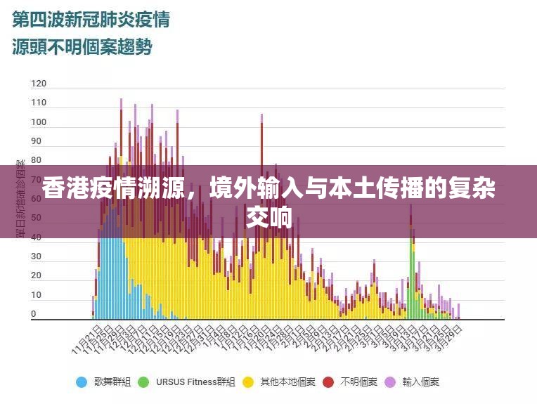 香港疫情溯源，境外输入与本土传播的复杂交响