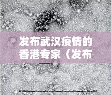 发布武汉疫情的香港专家（发布武汉疫情的香港专家是谁）