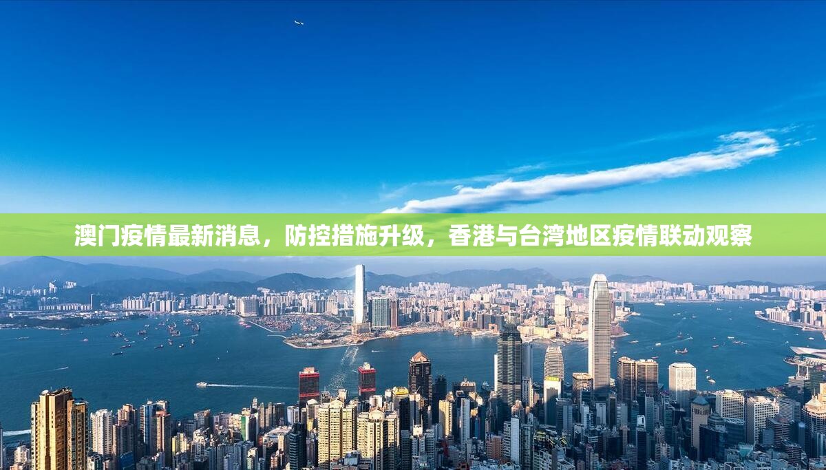 澳门疫情最新消息，防控措施升级，香港与台湾地区疫情联动观察