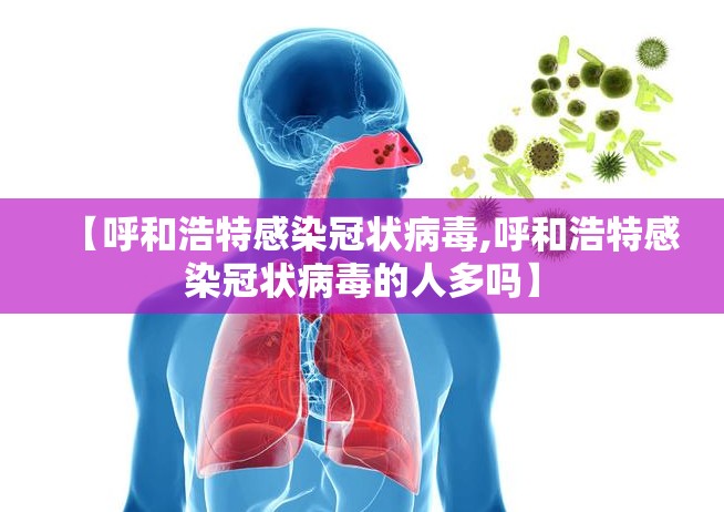 【呼和浩特感染冠状病毒,呼和浩特感染冠状病毒的人多吗】