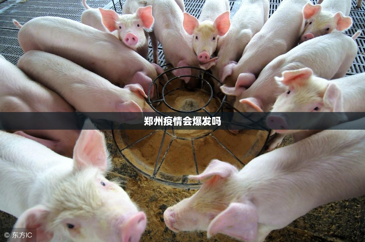 郑州疫情会爆发吗