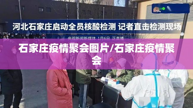 石家庄疫情聚会图片/石家庄疫情聚会