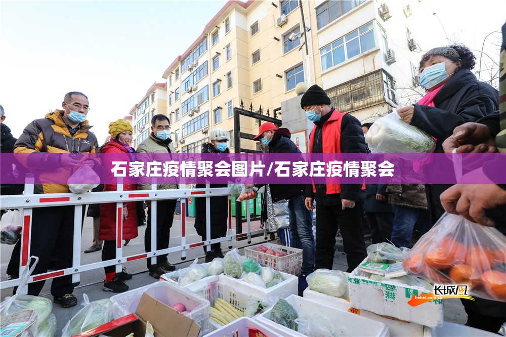 石家庄疫情聚会图片/石家庄疫情聚会