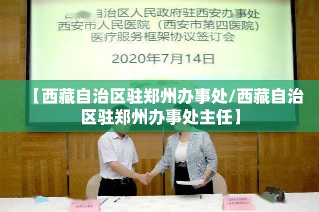 【西藏自治区驻郑州办事处/西藏自治区驻郑州办事处主任】