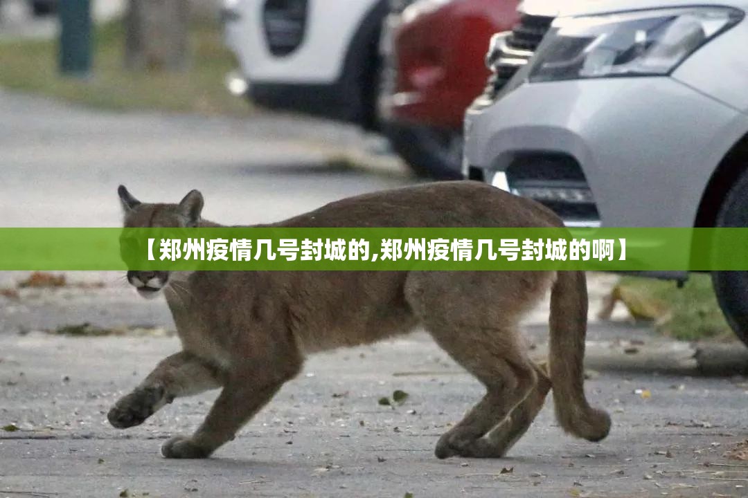【郑州疫情几号封城的,郑州疫情几号封城的啊】