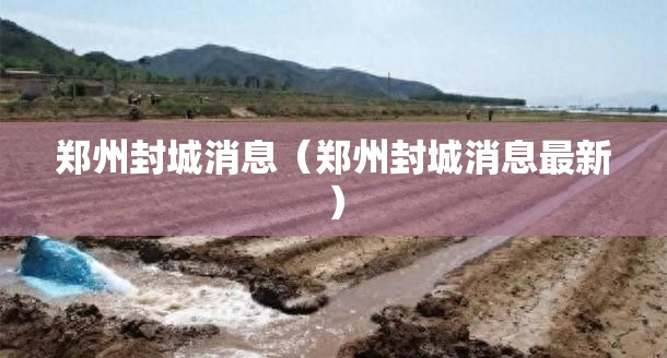 郑州封城消息（郑州封城消息最新）