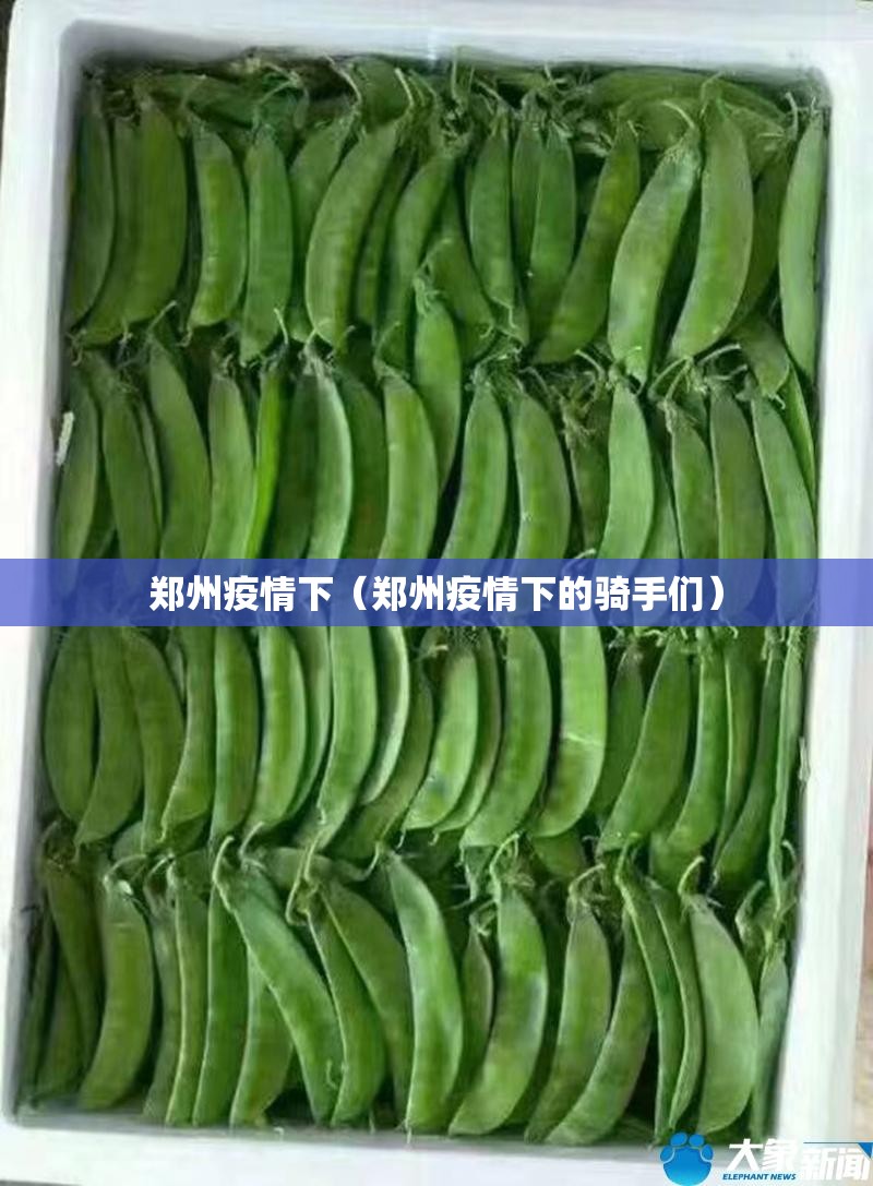 郑州疫情下（郑州疫情下的骑手们）