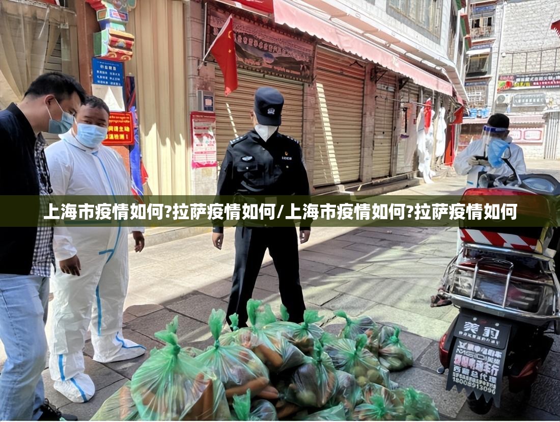 上海市疫情如何?拉萨疫情如何/上海市疫情如何?拉萨疫情如何