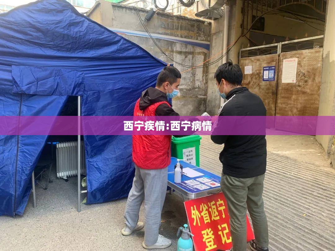 西宁疾情:西宁病情