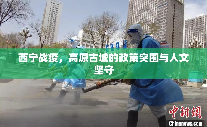 西宁战疫，高原古城的政策突围与人文坚守