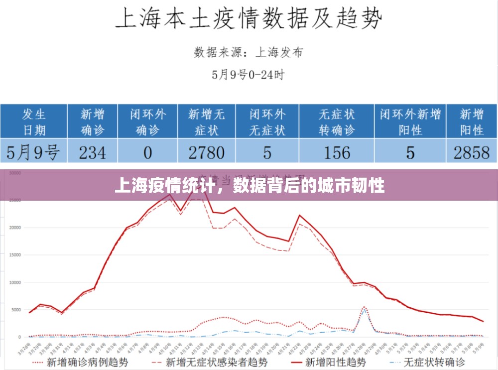 上海疫情统计，数据背后的城市韧性
