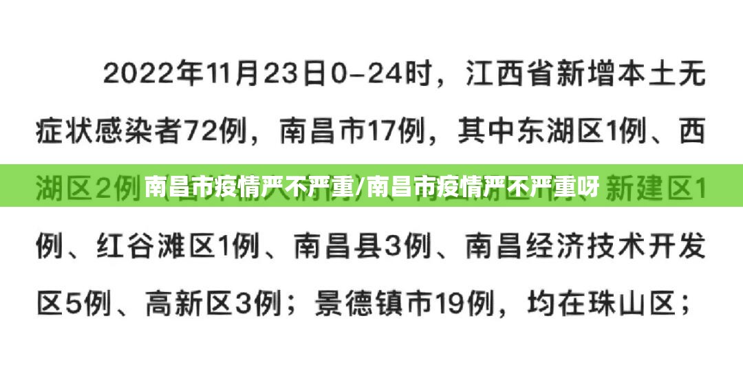 南昌市疫情严不严重/南昌市疫情严不严重呀