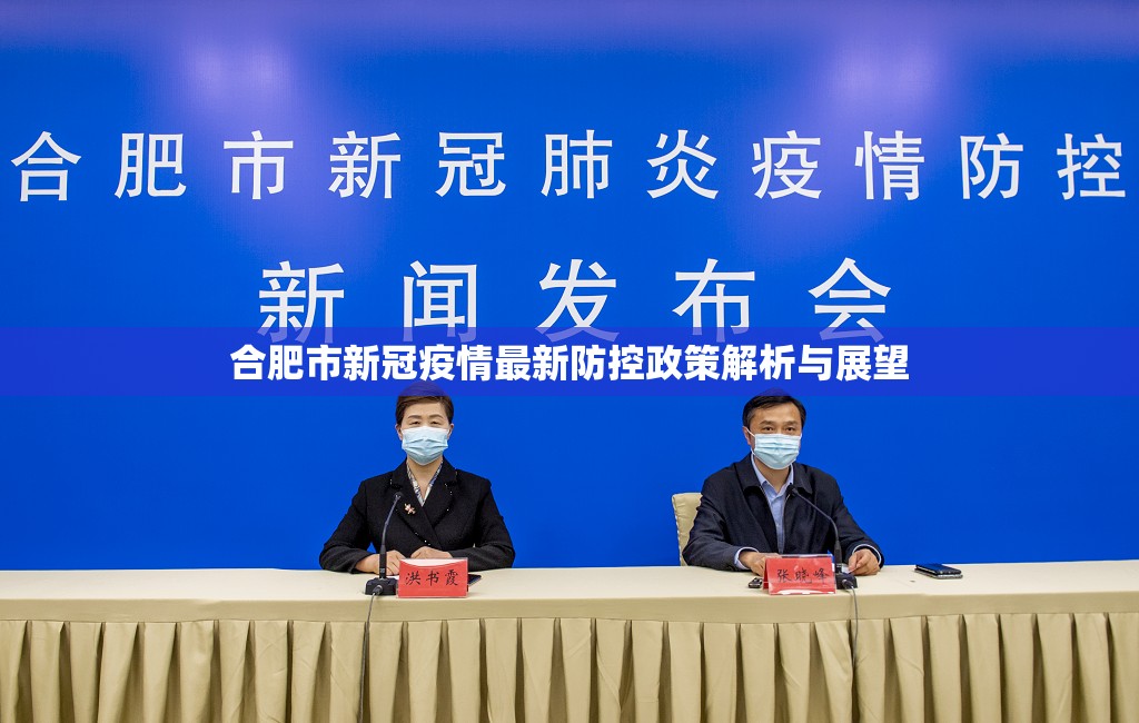 合肥市新冠疫情最新防控政策解析与展望