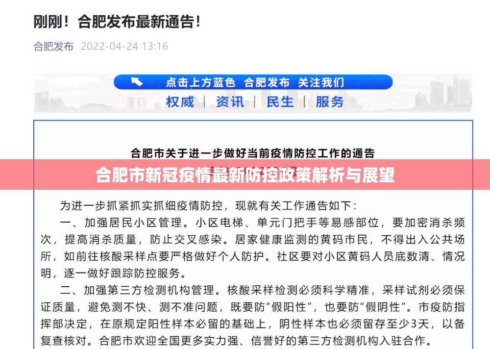 合肥市新冠疫情最新防控政策解析与展望