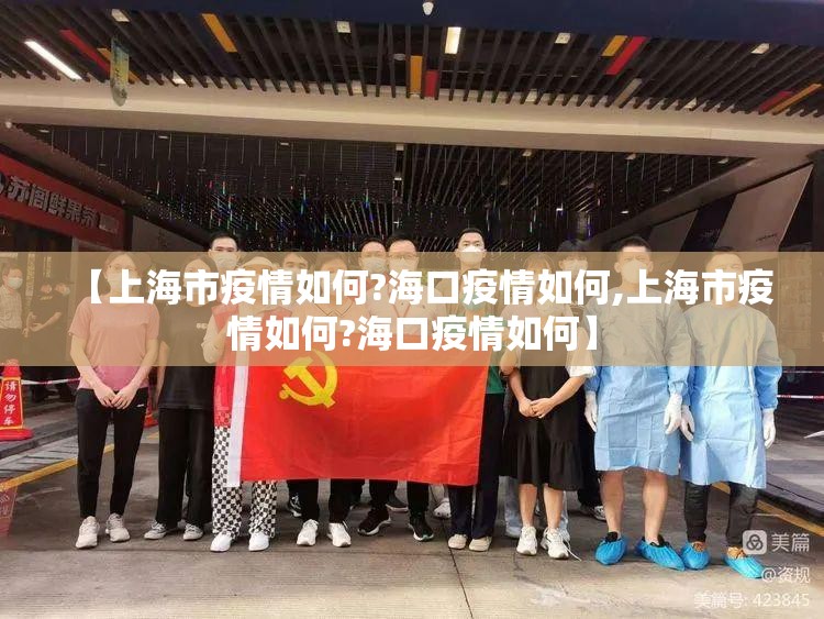 【上海市疫情如何?海口疫情如何,上海市疫情如何?海口疫情如何】