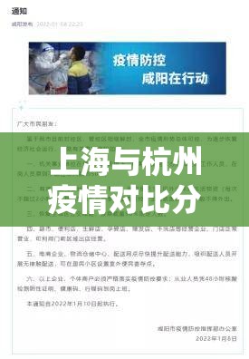 上海与杭州疫情对比分析，防控策略与成效观察