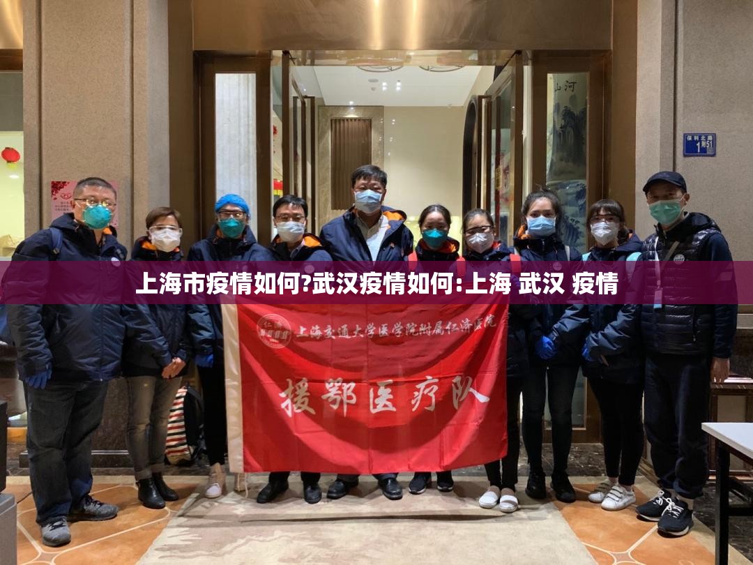 上海市疫情如何?武汉疫情如何:上海 武汉 疫情