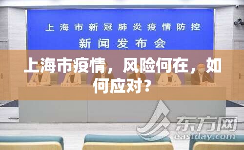 上海市疫情，风险何在，如何应对？