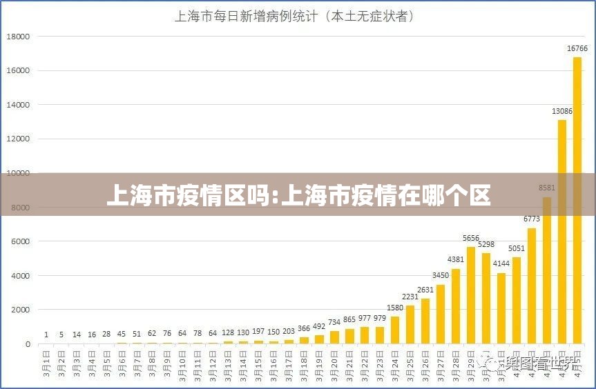 上海市疫情区吗:上海市疫情在哪个区